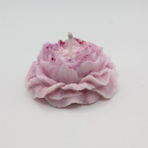 lotus du sakura